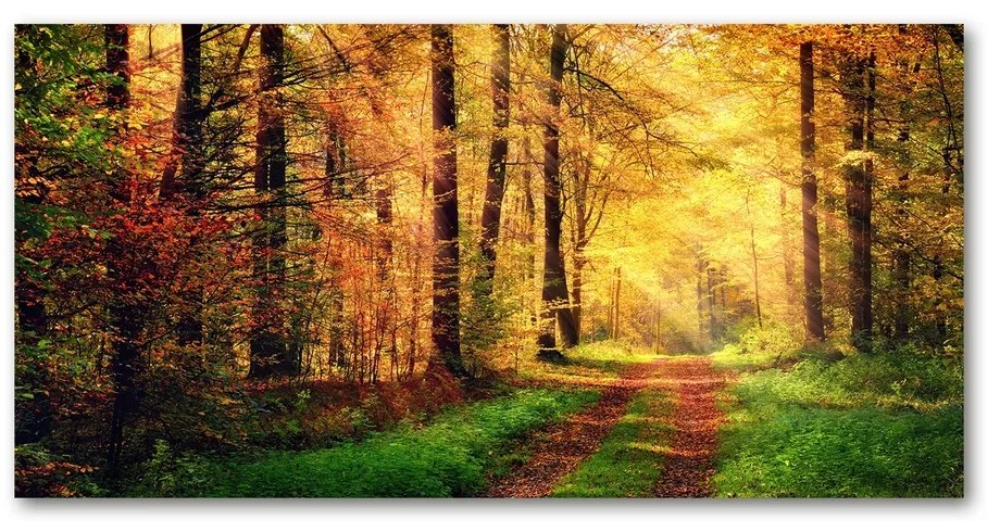Pictura pe sticlă acrilică Pădure în toamna