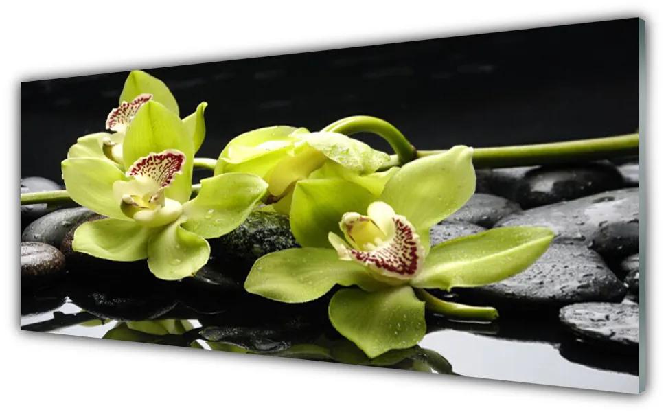 Tablouri acrilice Pietre florale flori verde negru