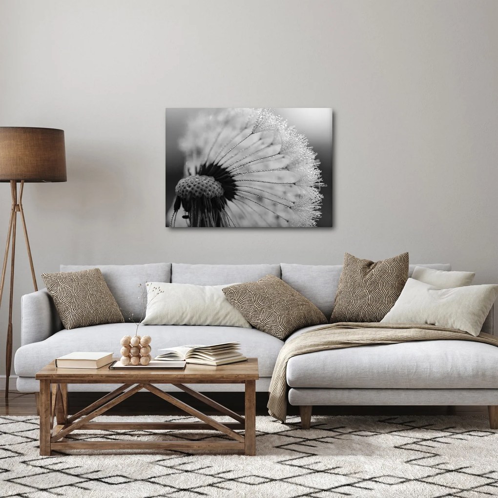 Tablou cu păpădie - albnegru (70x50 cm)