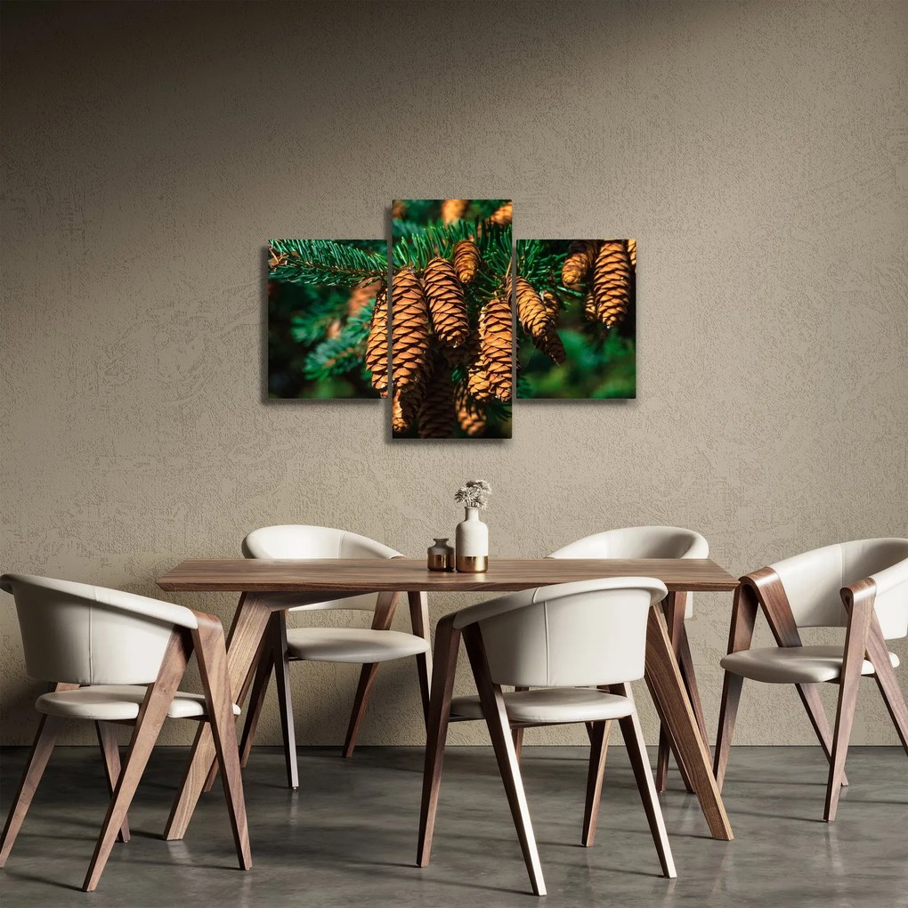 Tablou cu con de brad (90x60 cm)