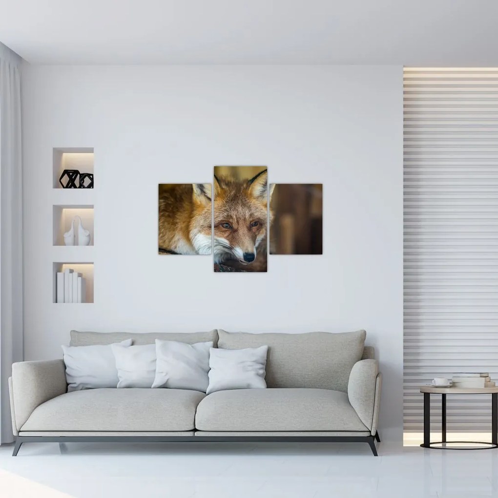 Tablou cu vulpe (90x60 cm)