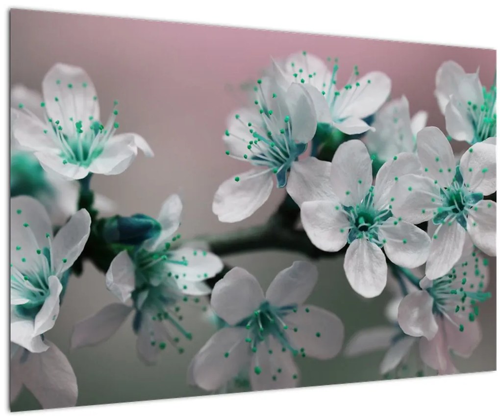 Tablou cu floare - turcoaz (90x60 cm)