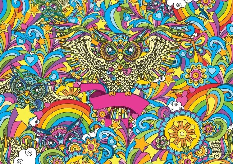 Colorful Owls Stars Rainbow Flowers Fototapet, (312 x 219 cm)