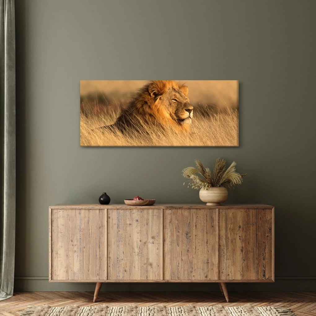 Tablou - Parcul Național Etosha (120x50 cm)