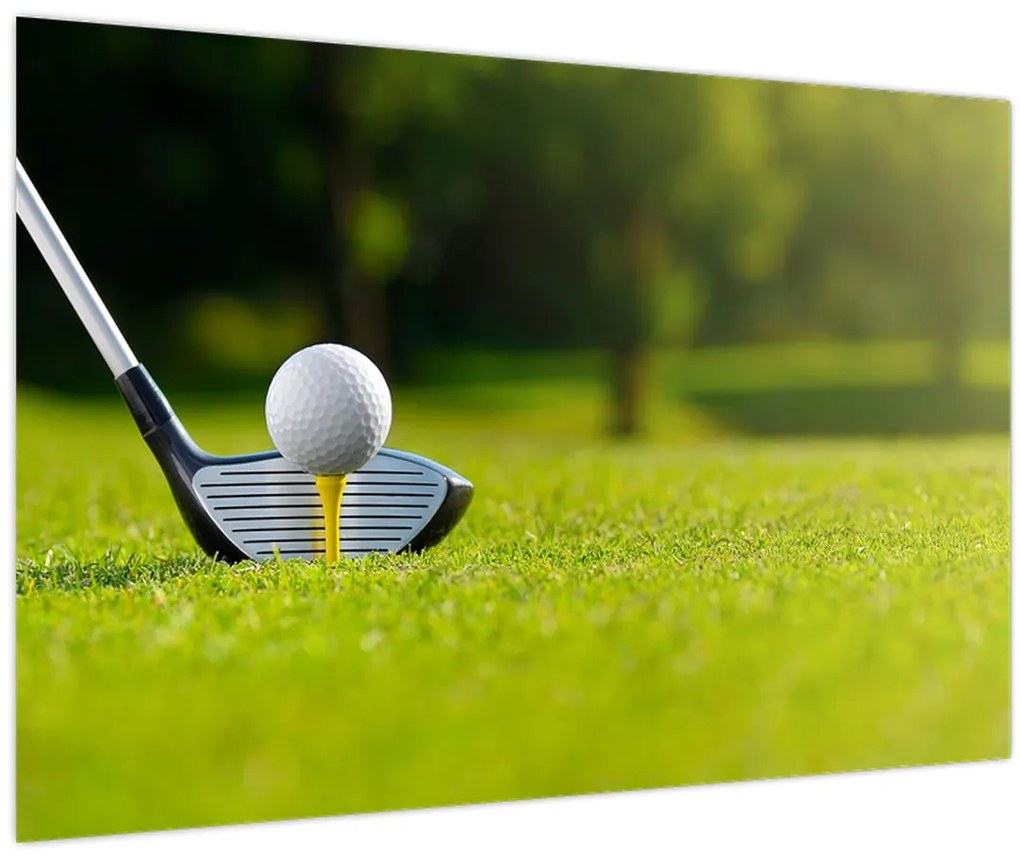 Tablou - Golf (90x60 cm)