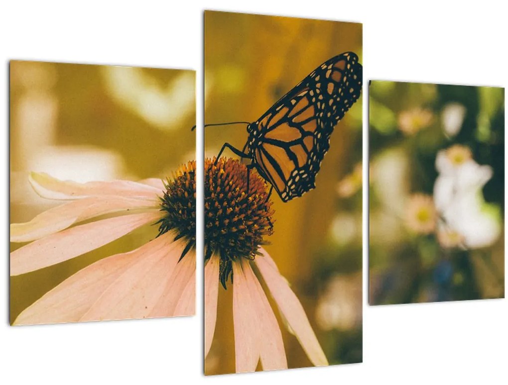 Tablou cu fluture pe floare (90x60 cm)