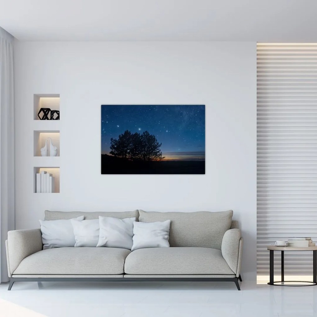 Tablou cu copaci noapte (90x60 cm)