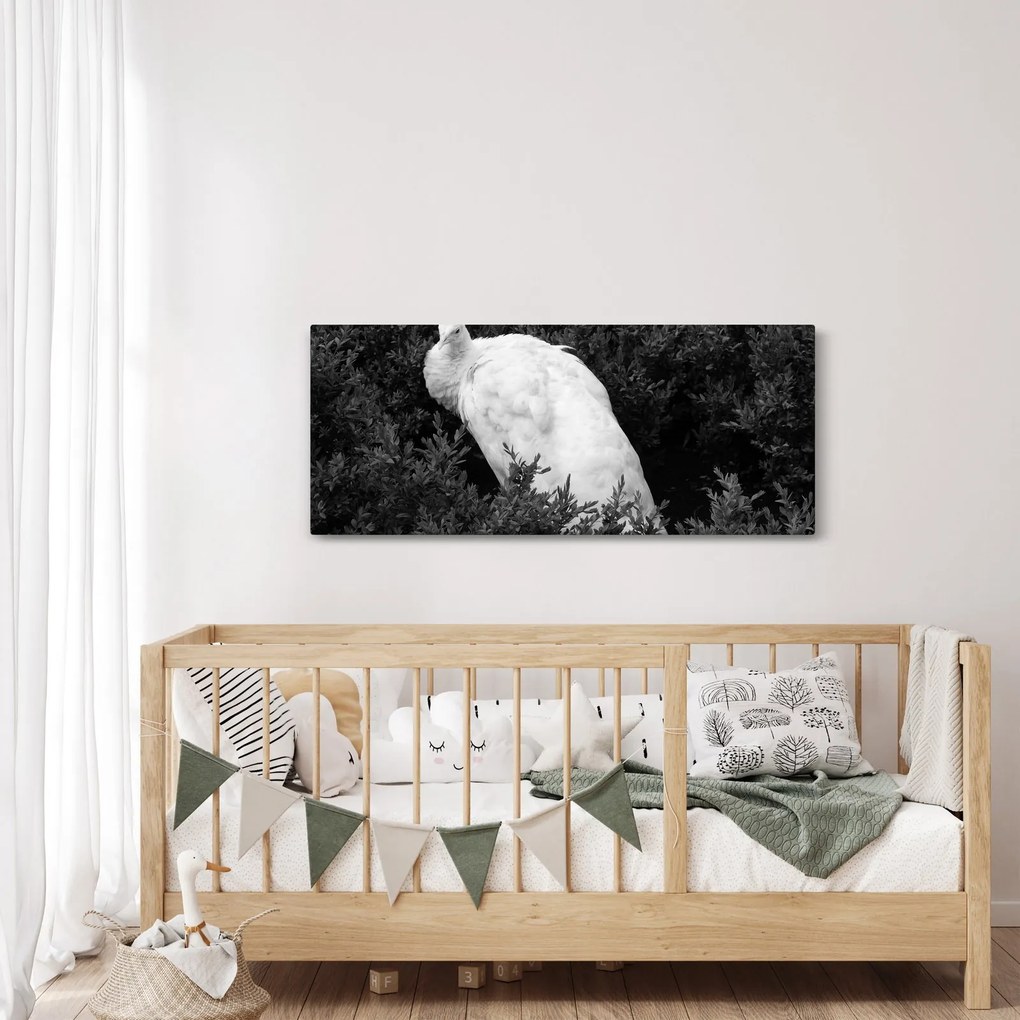 Tablou - Păun,alb-negru (120x50 cm)