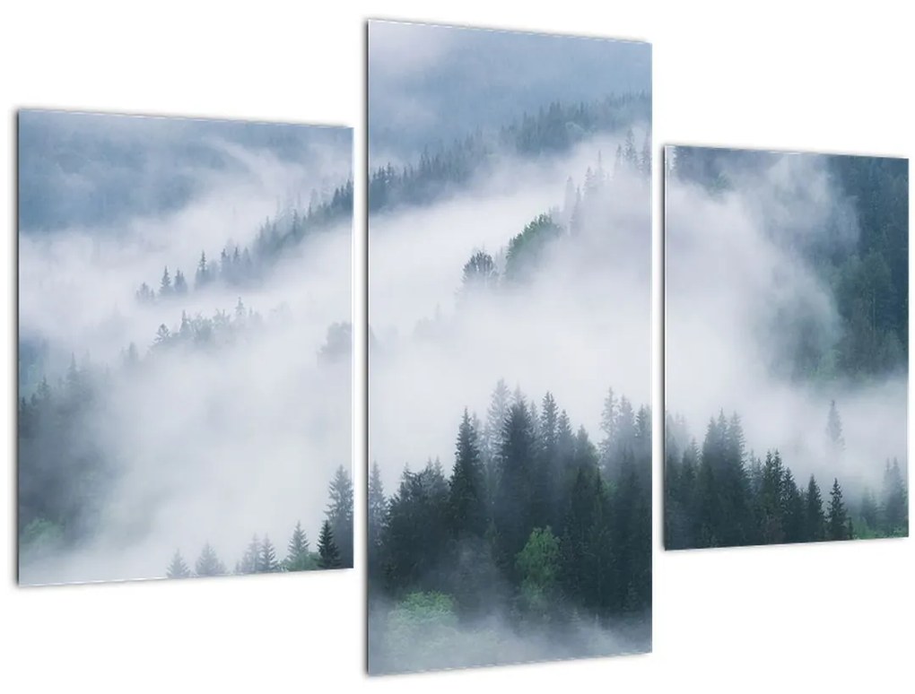 Tablou - Copacii în ceață (90x60 cm)