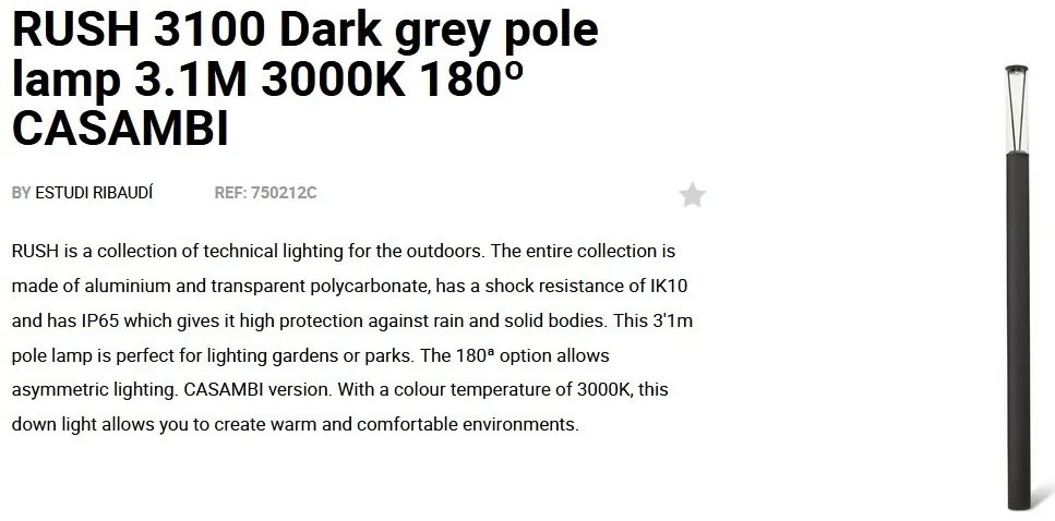 Stalp LED iluminat exterior simetric 180º IP65 RUSH 310cm 3000K CASAMBI