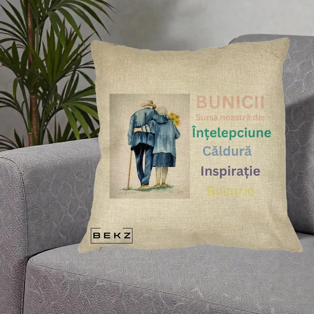 Cadou pentru Bunici - Perna Personalizata Bunicii Sursa Intelepciune Caldura Acuarela, 40x40 cm, Crem, Husa Detasabila, Perna Inclusa, BEKZ®