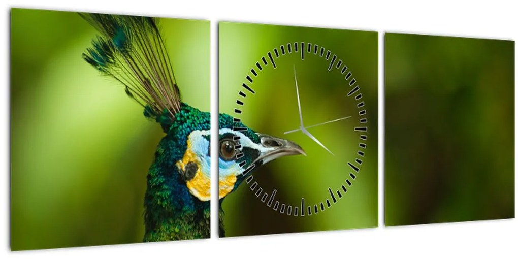 Tablou cu păun (cu ceas) (90x30 cm)