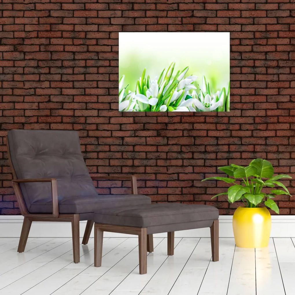 Tablou pe sticlă - Ghiocei (70x50 cm)