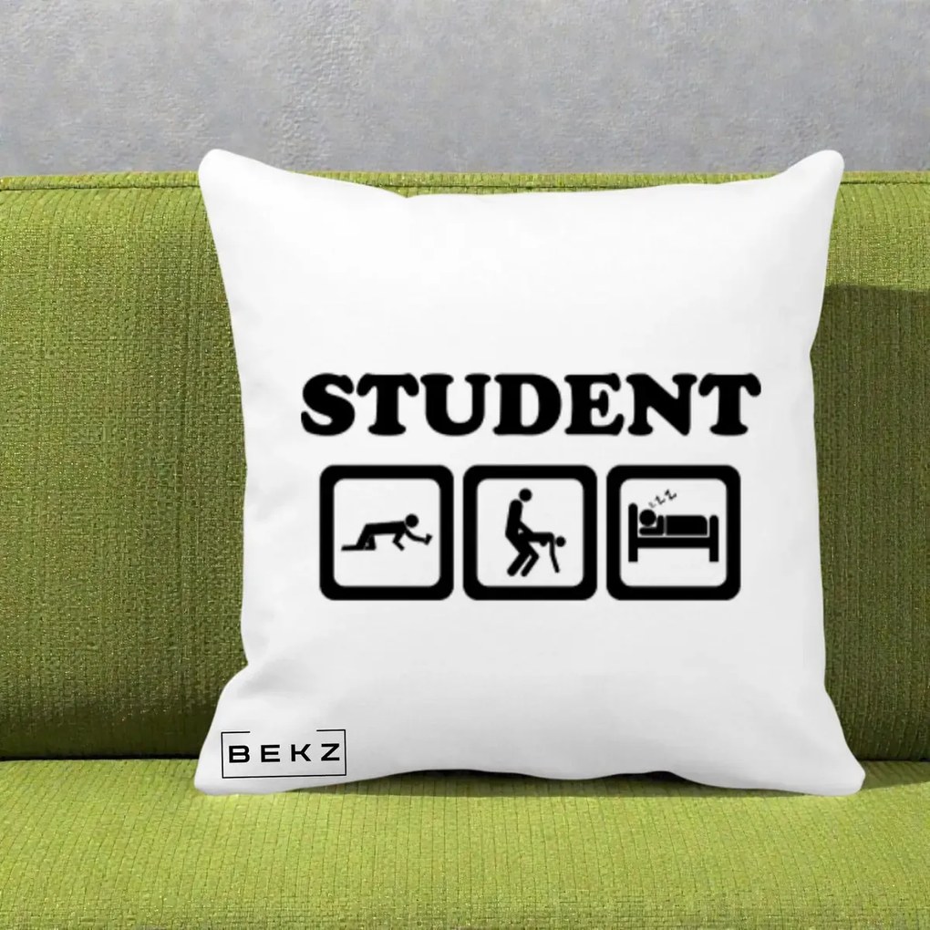 Perna Decorativa Student Life, 40x40 cm, Alba Mata, Husa Detasabila, Perna Inclusa, BEKZ®