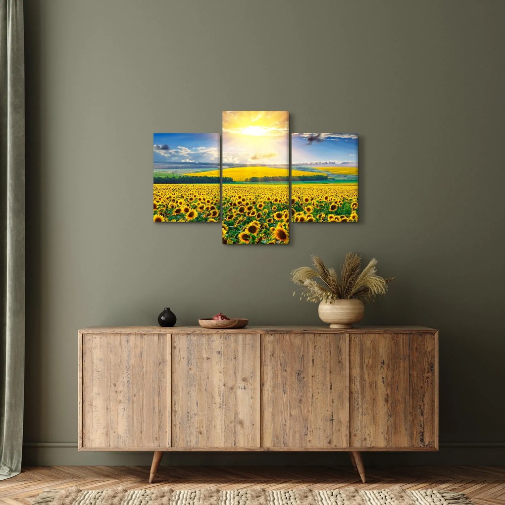 Tablou - Câmp cu floarea soarelui (90x60 cm)