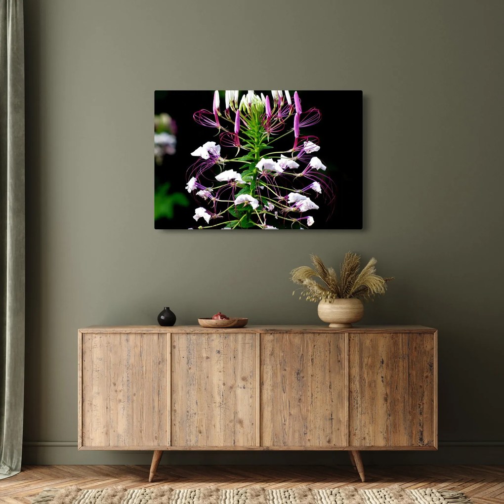 Tablou cu floare (90x60 cm)