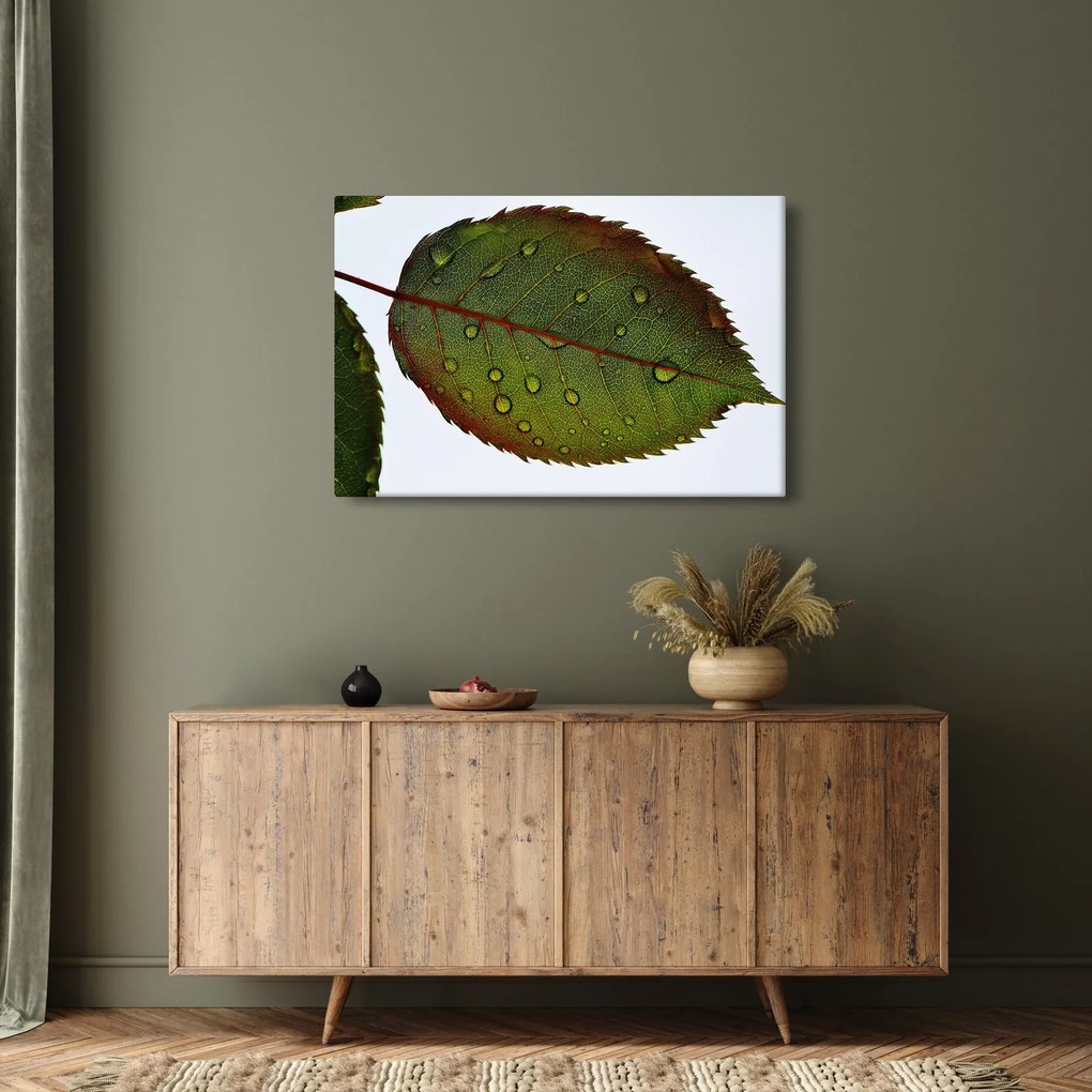 Tablou - Frunze de trandafir (90x60 cm)