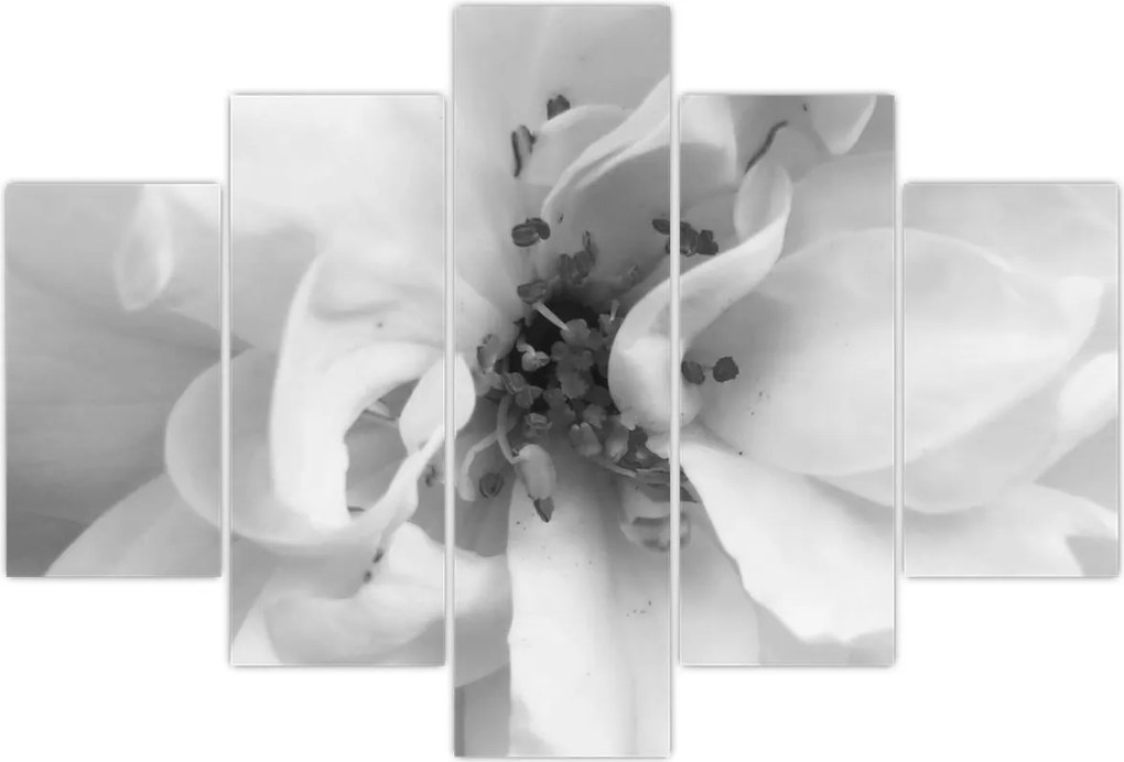 Tablou - Floare,alb-negru (150x105 cm)