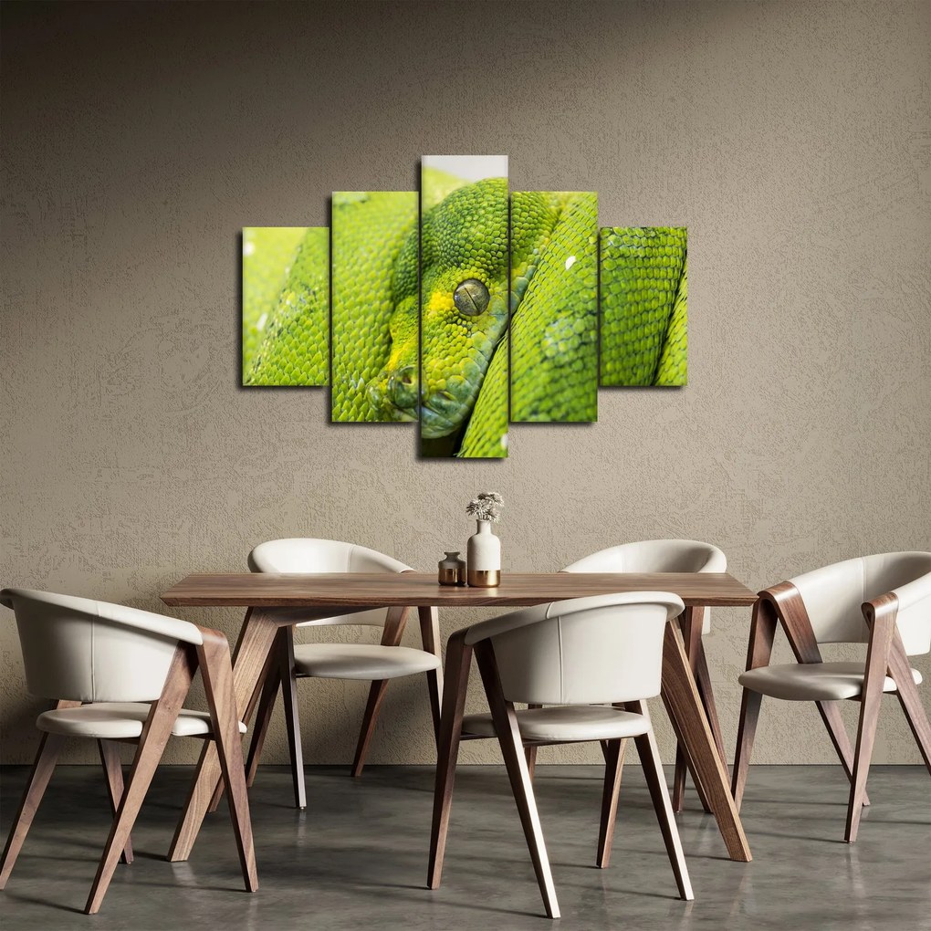 Tablou cu șarpe (150x105 cm)