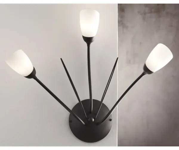 Jupiter 2059 - Aplică de perete GLORIOSA 3xG9/14W/230V, neagră