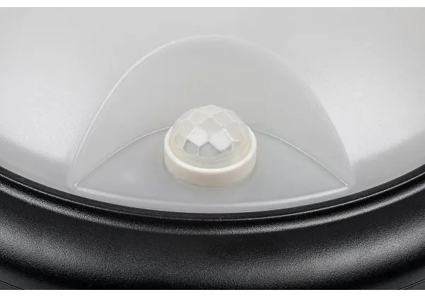 Aplică LED de exterior cu senzor LED/15W/230V IP54 Rabalux 77028