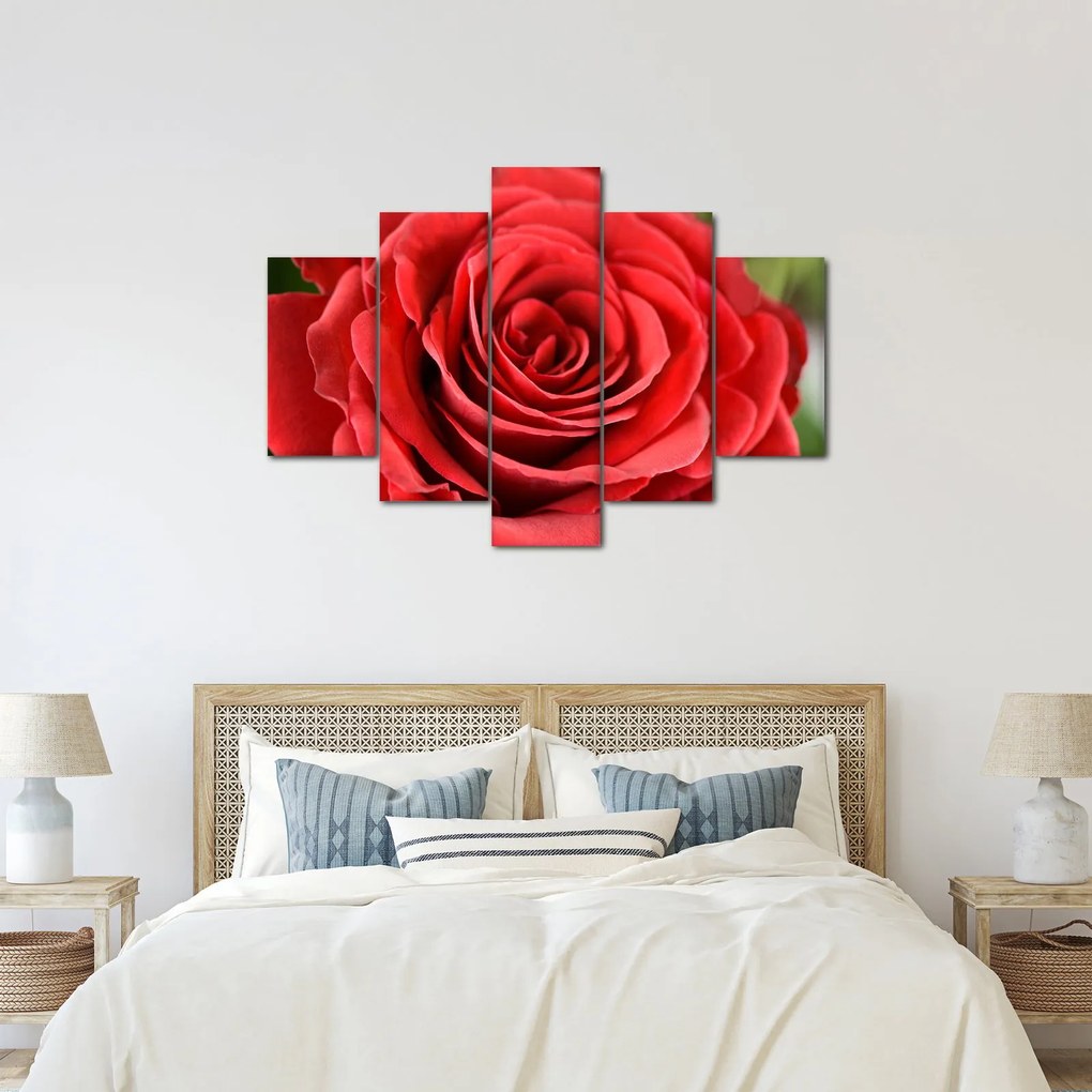 Tablou - Flori de trandafir (150x105 cm)