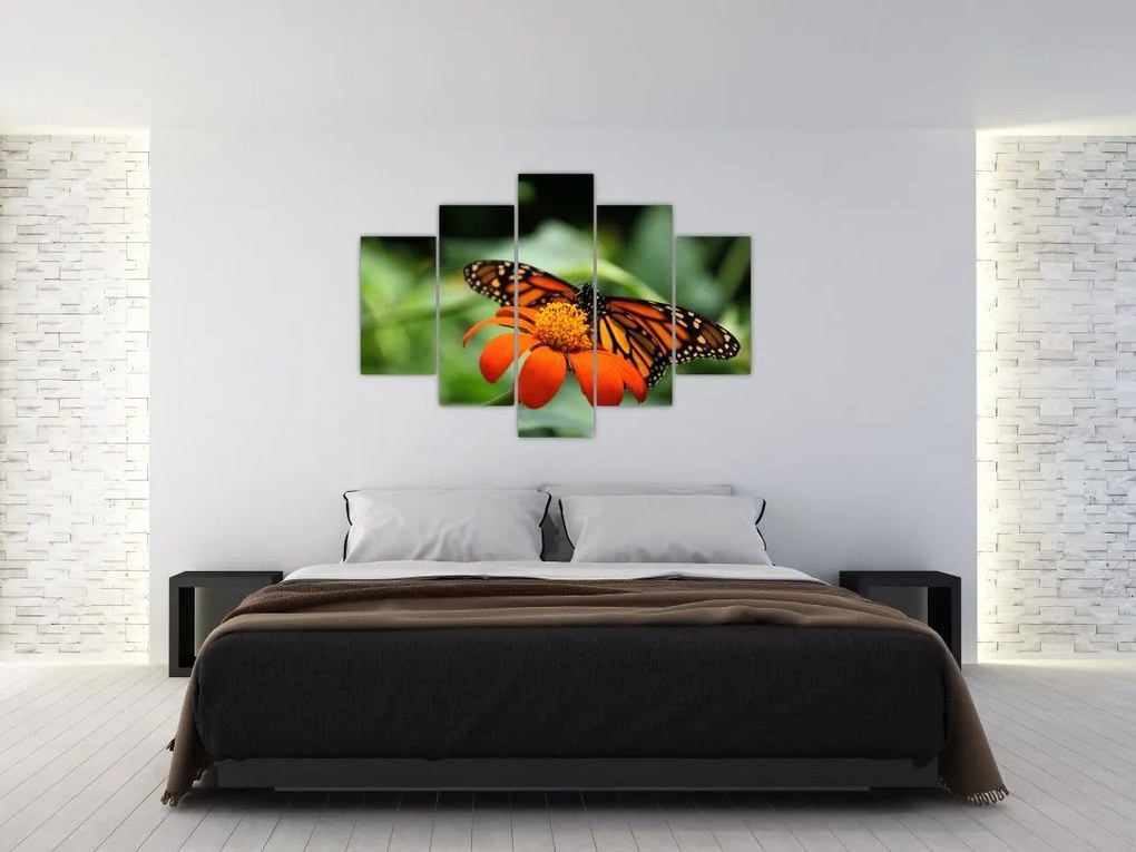 Tablou cu fluture pe floare (150x105 cm)