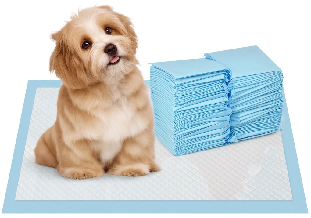 PawHut Set 100 Covoare Absorbante pentru Câini cu 6 Straturi, Covoare Igienice pentru Câini, 45x30 cm, Albastru | Aosom Romania