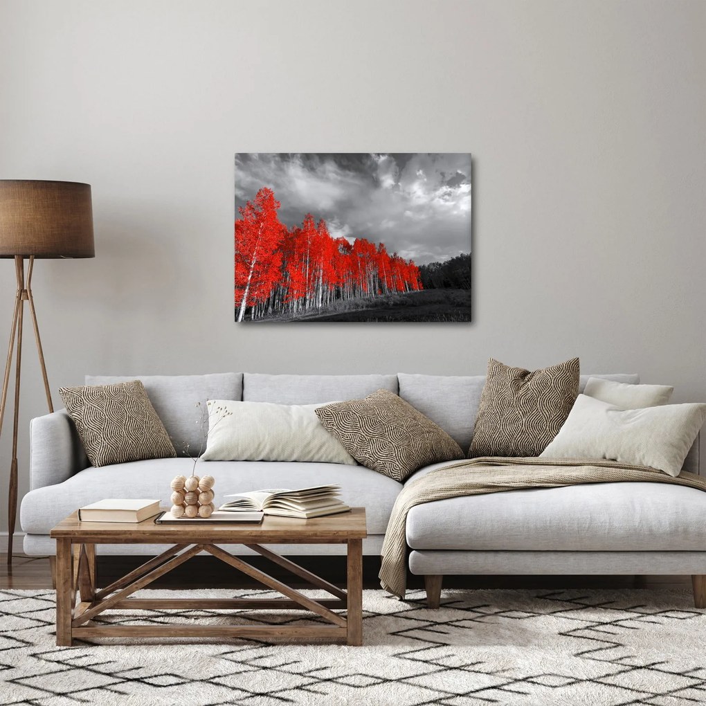 Tablou - Copaci în culorile toamnei (70x50 cm)