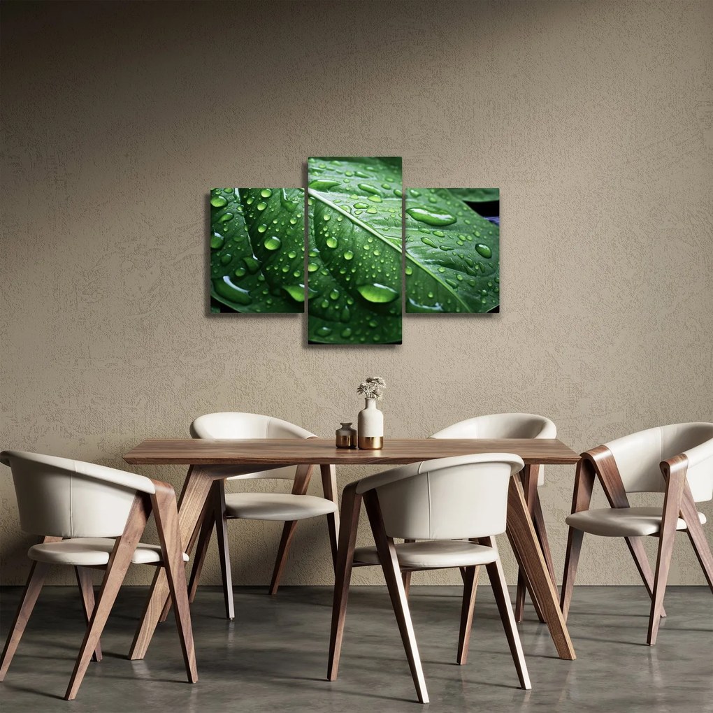 Tablou - Detaliu de frunze după ploaie (90x60 cm)