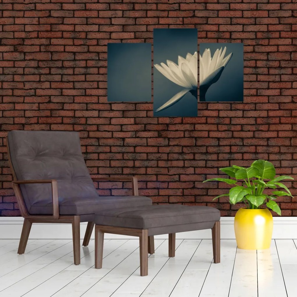 Tablou cu flori (90x60 cm)