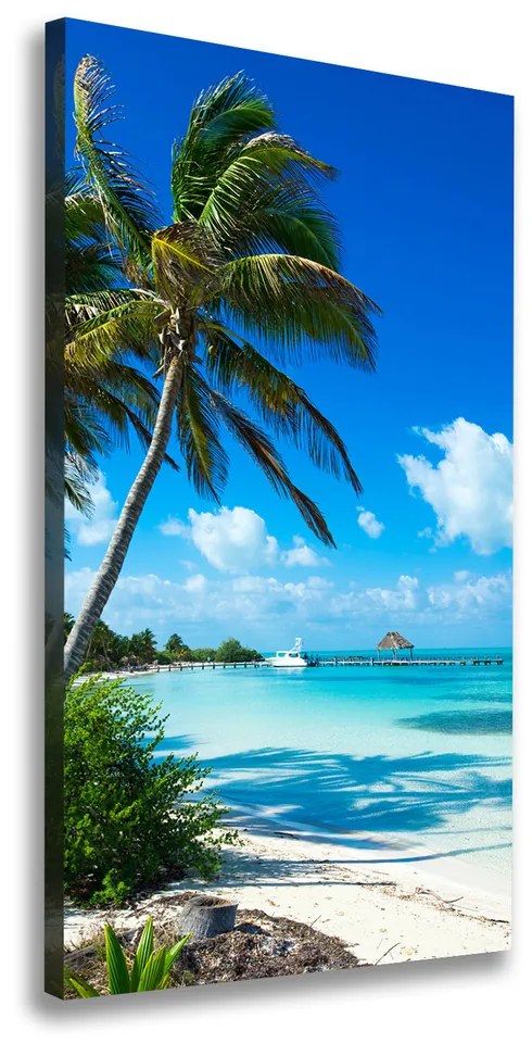 Pictură pe pânză Plaja tropicala