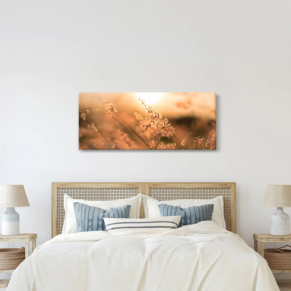 Tablou - Iarbă la soare (120x50 cm)