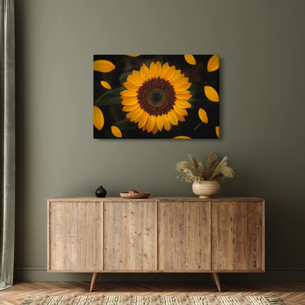 Tablou - Floarea soarelui și petale (90x60 cm)