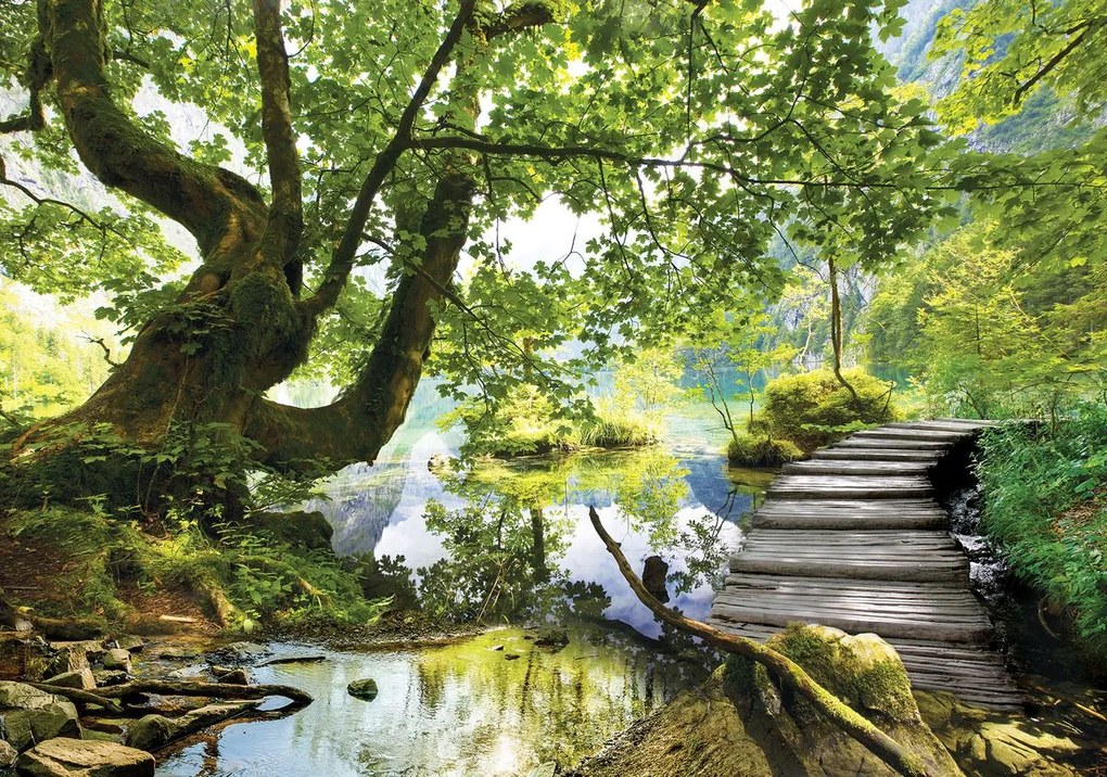 Fototapet - În pădure (152,5x104 cm)