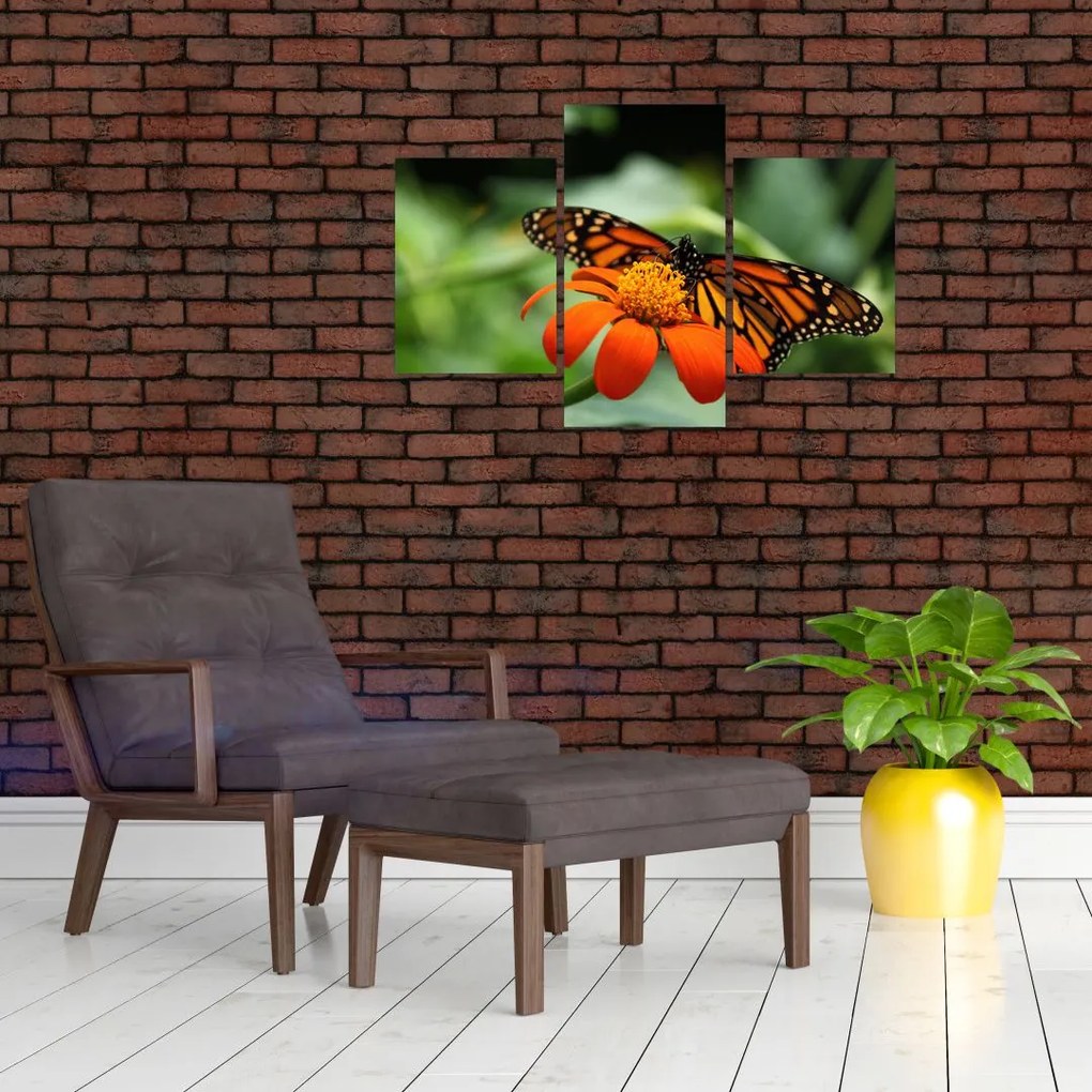 Tablou cu fluture pe floare (90x60 cm)