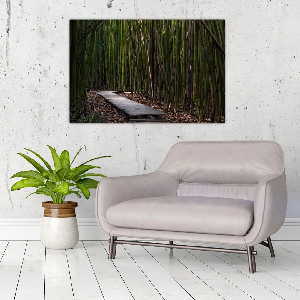 Tablou - Între bambus (90x60 cm)