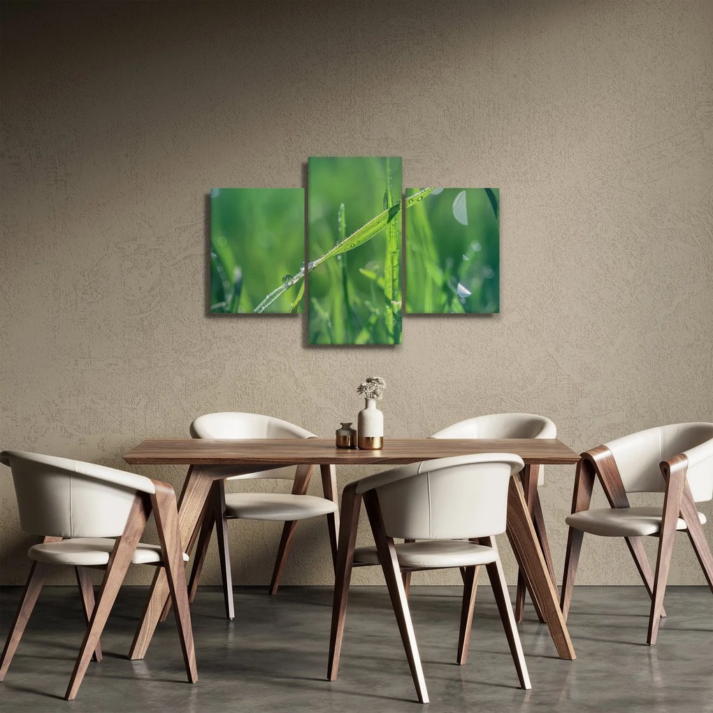 Tablou cu picături de rouă (90x60 cm)