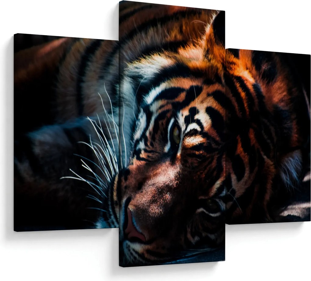 Tablou cu tigrul dormind (90x60 cm)