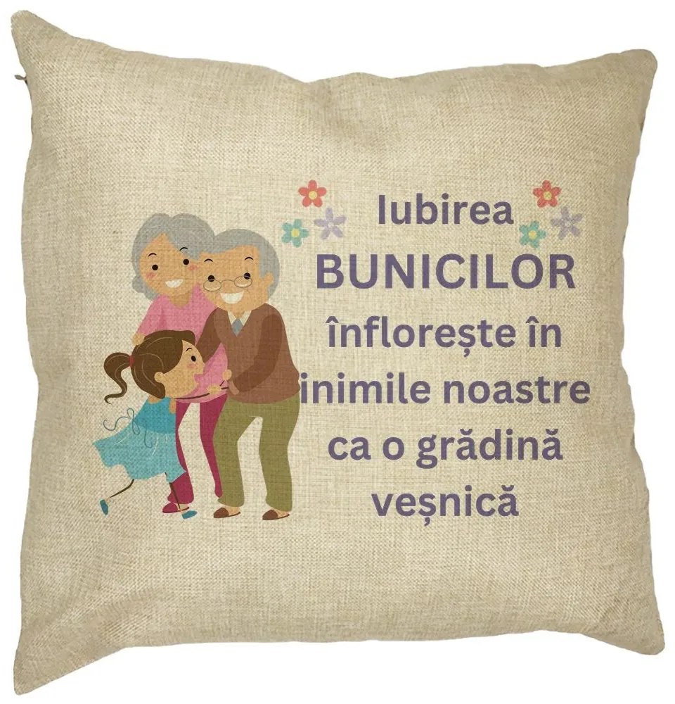 Perna Decorativa pentru Bunici 2, 40x40 cm, Husa Detasabila, Burduf