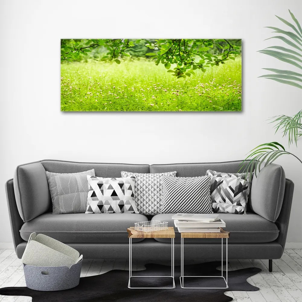 Print pe canvas Pajiște verde