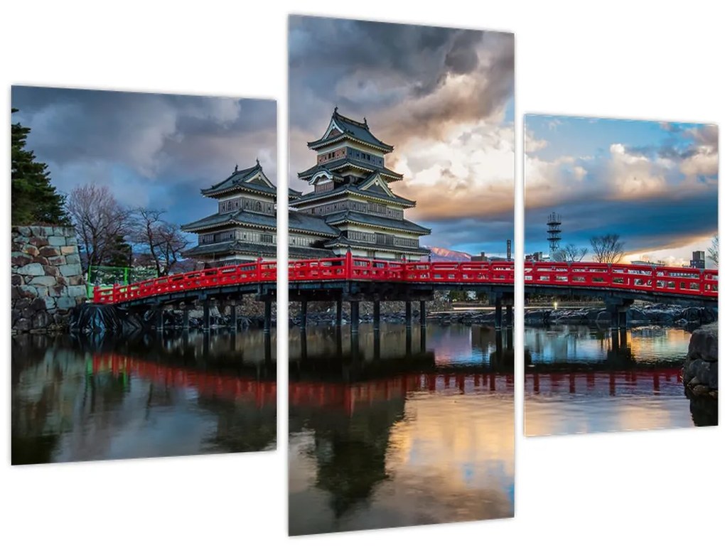 Tablou - Japonia (90x60 cm)