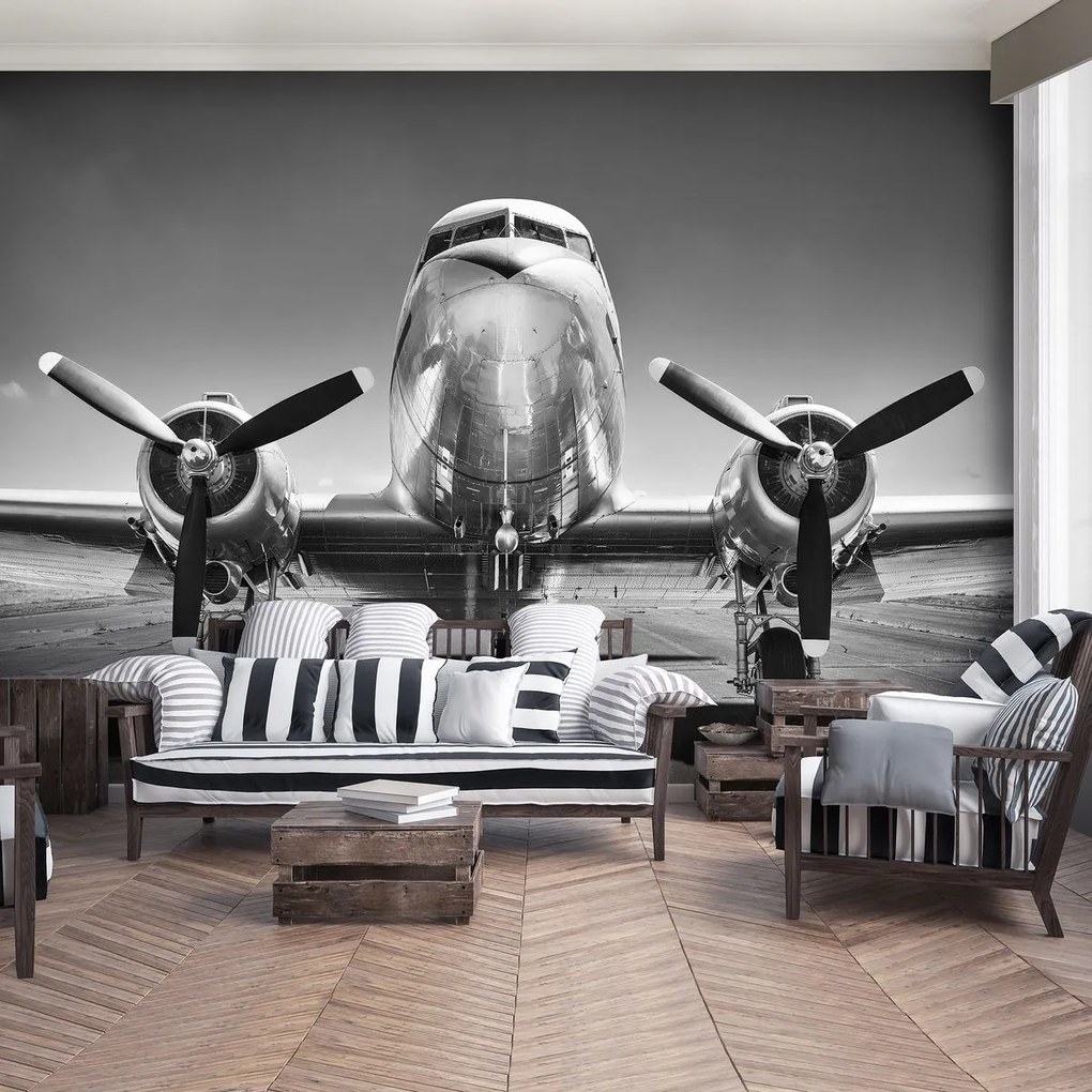 Fototapet - Avion (152,5x104 cm)