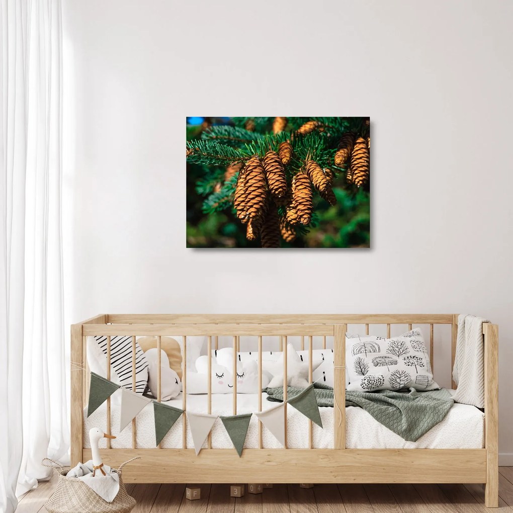 Tablou pe sticlă cu con de brad (70x50 cm)