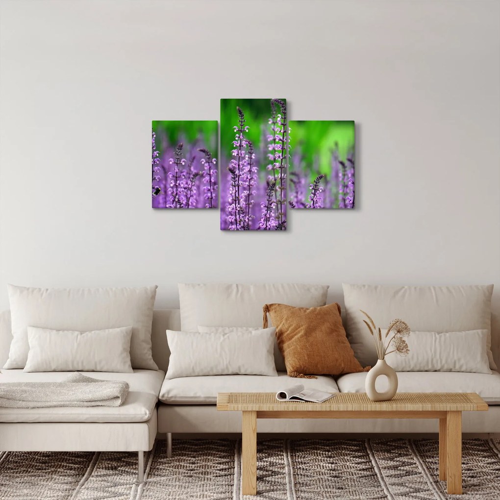 Tablou cu flori de luncă violete (90x60 cm)