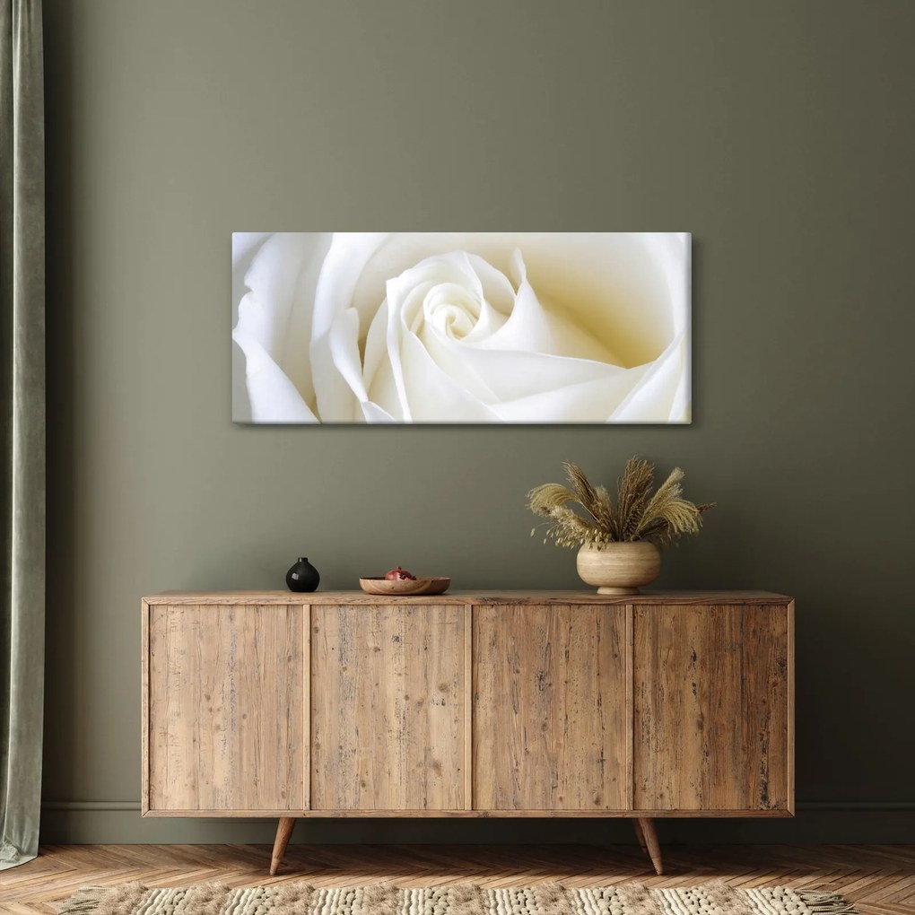 Tablou cu tandafir alb (120x50 cm)