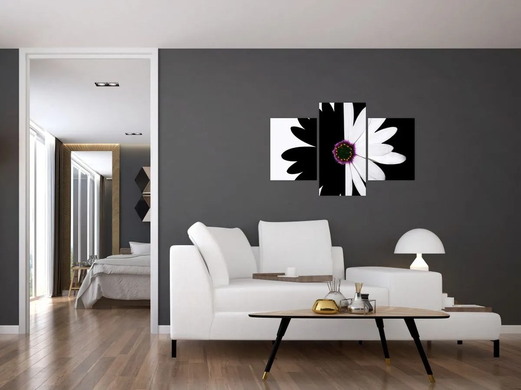 Tablou - Floare, alb- negru (90x60 cm)