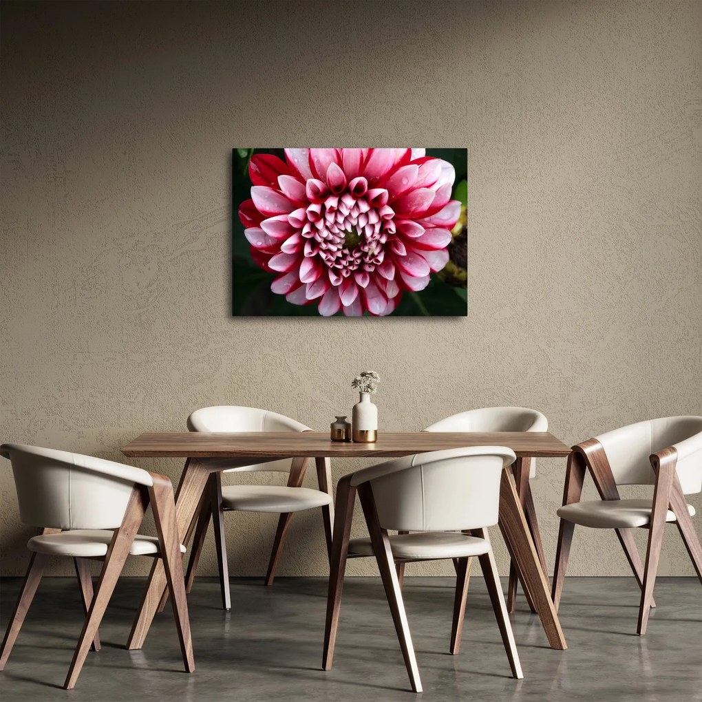 Tablou cu dalie roz (70x50 cm)