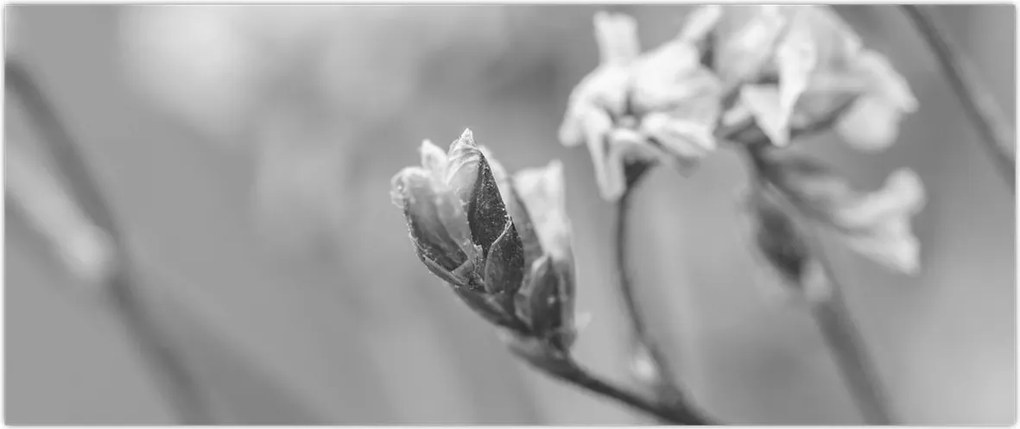 Tablou - Floare înflorită (120x50 cm)