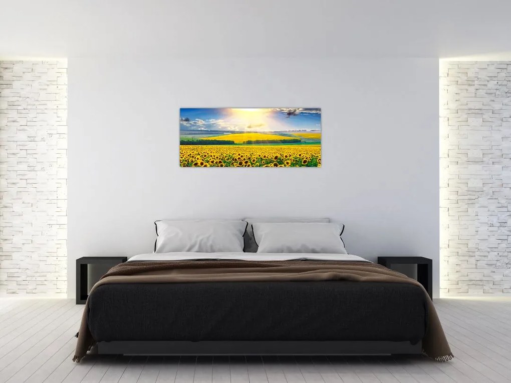 Tablou - Câmp cu floarea soarelui (120x50 cm)